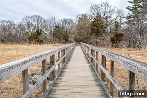 Top Things to Do in Portsmouth, NH: Attractions, Food & Walks 10 What to do in Portsmouth 2