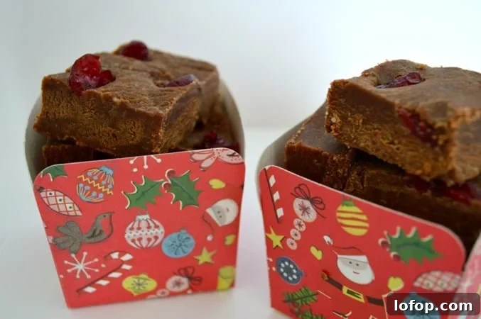 10 Gluten- and Dairy-Free Christmas Recipes for the Holidays 4 Christmas Fudge