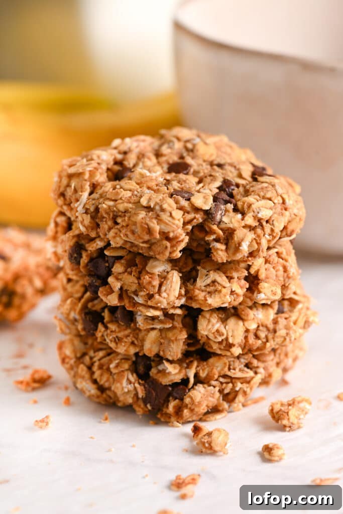3 Ingredient Oatmeal Cookies with Bananas