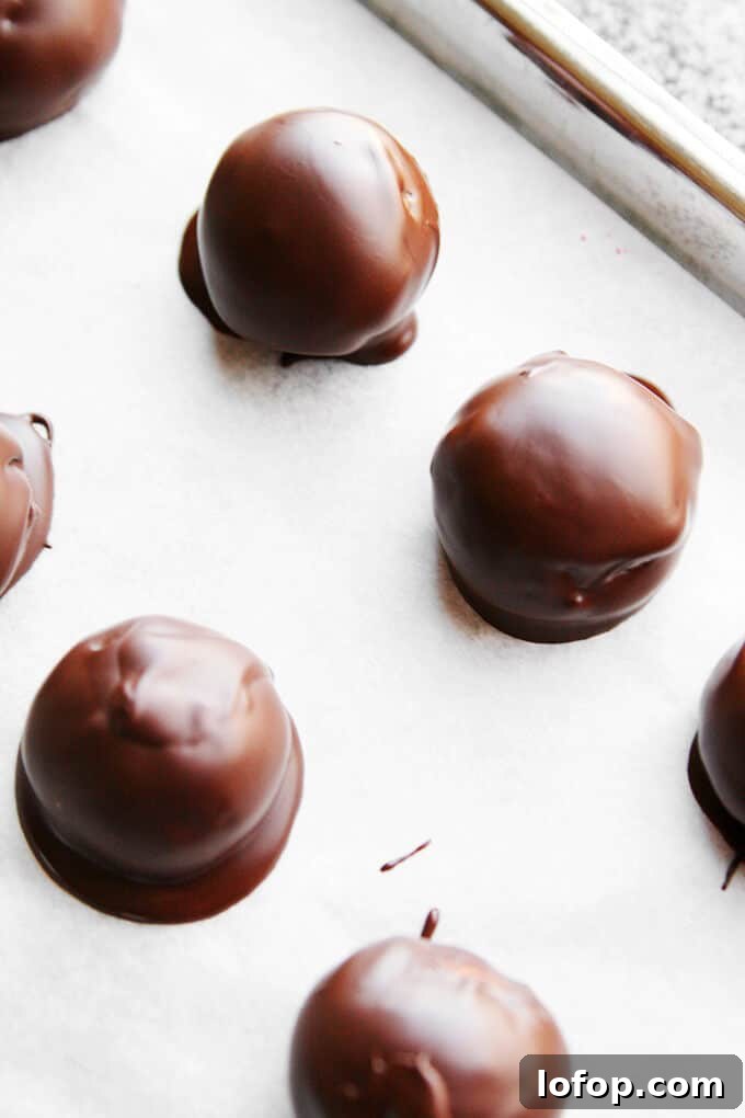 Peanut butter balls covered in chocolate.