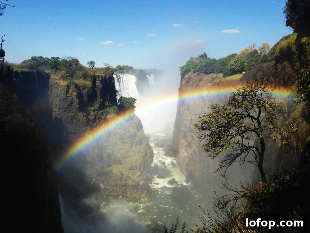 Victoria Falls Sunday Guide: Top Things to See and Do 2 img 3716 1