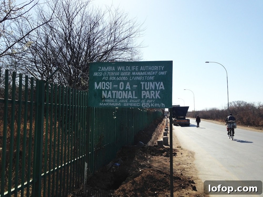 Victoria Falls Sunday Guide: Top Things to See and Do 10 img 3716 11