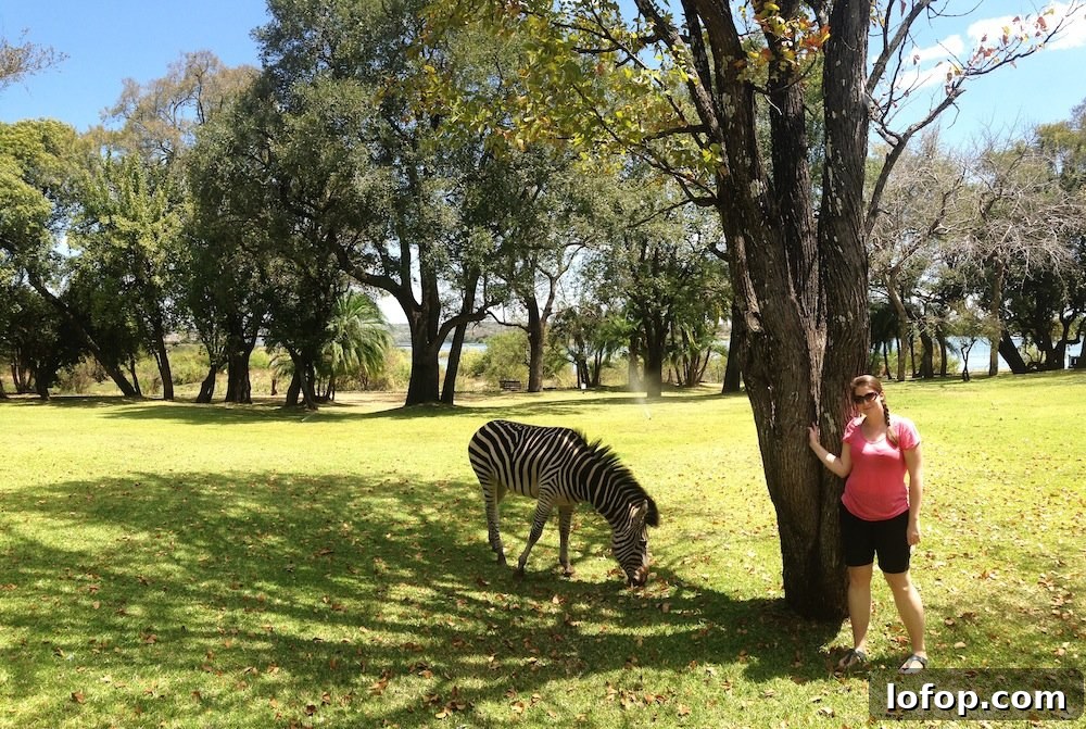 Victoria Falls Sunday Guide: Top Things to See and Do 14 img 3716 15