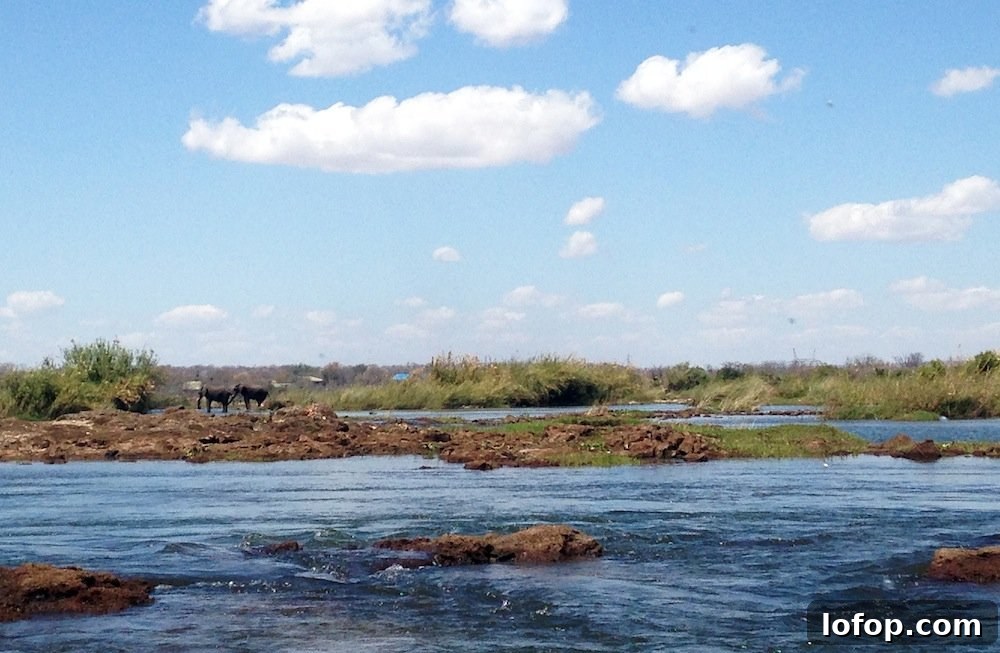 Victoria Falls Sunday Guide: Top Things to See and Do 20 img 3716 26