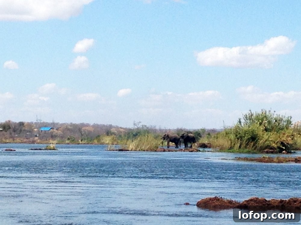 Victoria Falls Sunday Guide: Top Things to See and Do 21 img 3716 27