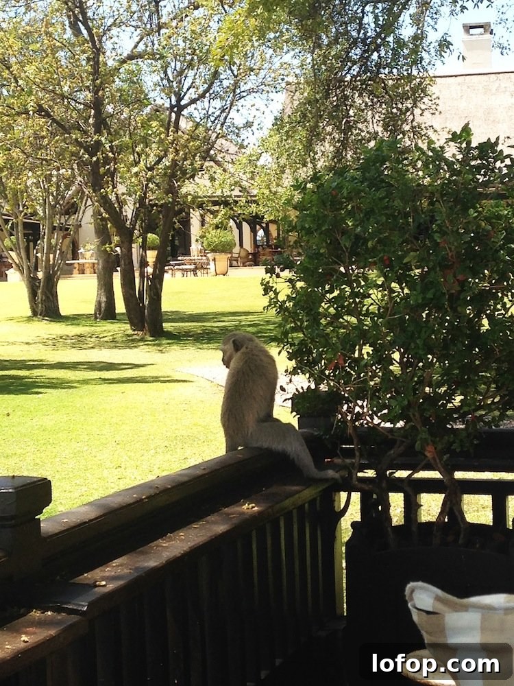 Victoria Falls Sunday Guide: Top Things to See and Do 23 img 3716 29