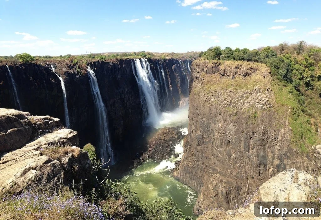 Victoria Falls Sunday Guide: Top Things to See and Do 28 img 3716 36