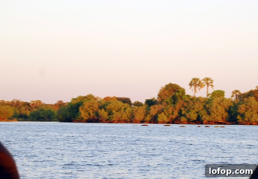 Victoria Falls Sunday Guide: Top Things to See and Do 8 img 3716 7