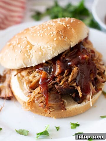 Close up view of pulled pork sandwich on a plate.