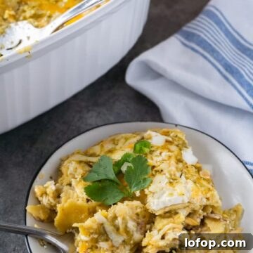 Shredded Chicken Enchiladas, a delicious and easy dinner that can be made in no time!