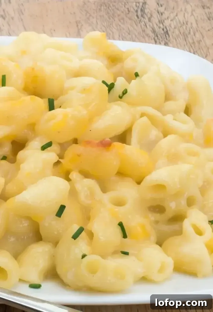 Ingredients for mac and cheese