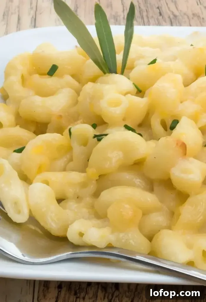 Creamy mac and cheese close-up