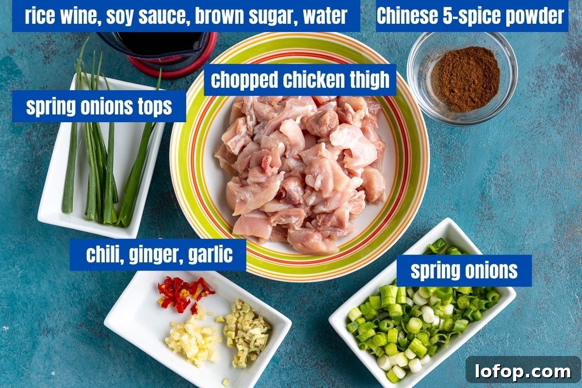 15-Minute Shanghai-Style Chicken Stir-Fry Recipe 3 Picture from above of the ingredients needed to make Shanghai chicken: the sauce, chicken thigh, spring onions, Chinese 5-spice powder, chili, ginger, garlic