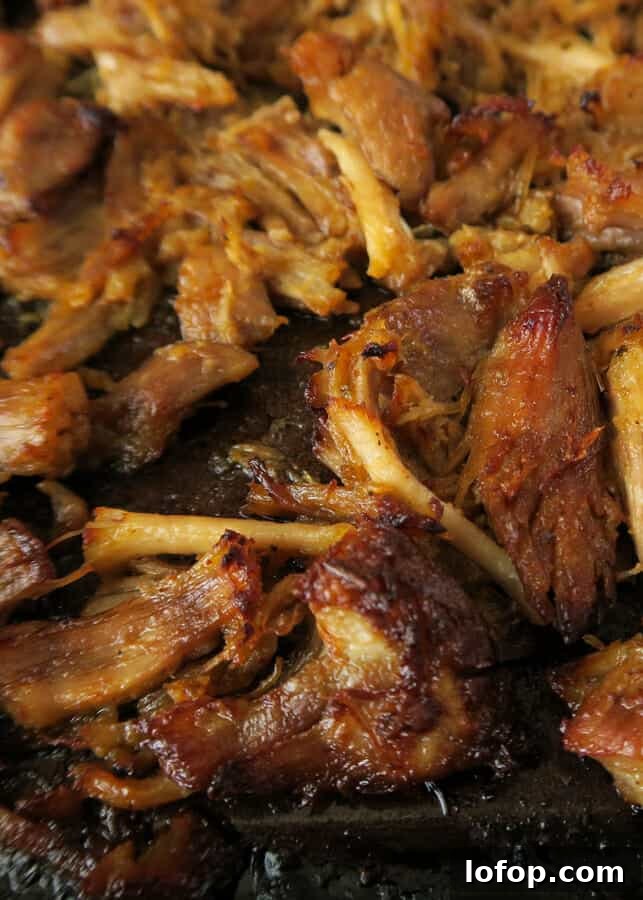 Crockpot or Instant Pot Carnitas: Mexican Pulled Pork Recipe 5 Easy crispy Carnitas