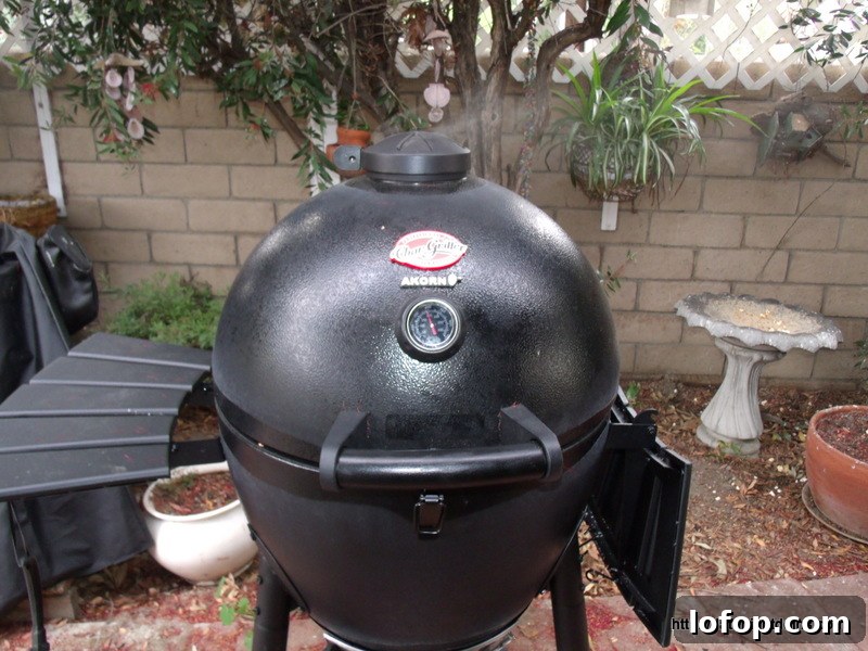 Southwestern Beer-Can Burgers with Chipotle Lime Slaw 11 On the Akron Kamado