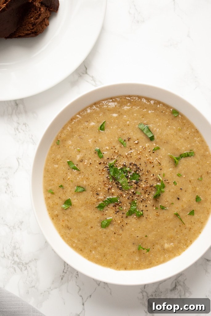 Roasted Broccoli Soup Recipe: Creamy Oven-Roasted Broccoli Bowl 5 an overhead shot of a bowl of roasted broccoli soup