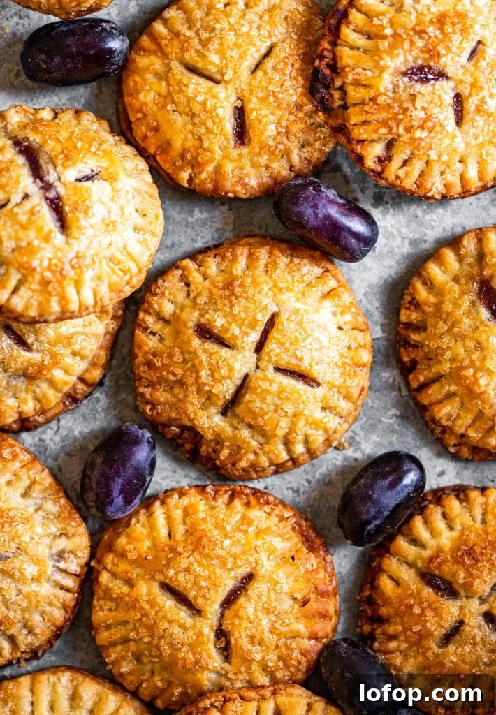 Concord Grape Hand-Pie Ice Cream Sandwiches Recipe 4 Concord Grape Hand Pies