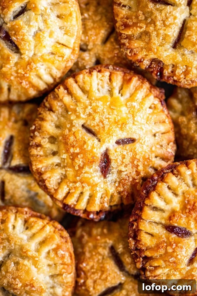 Concord Grape Hand-Pie Ice Cream Sandwiches Recipe 5 Concord Grape Hand Pies