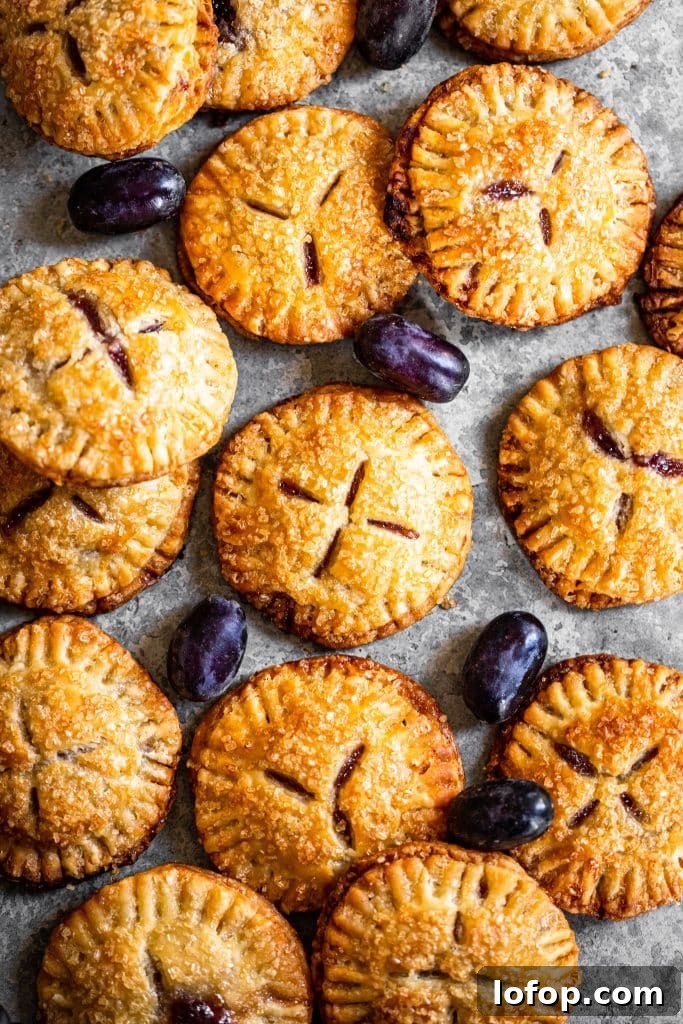 Concord Grape Hand-Pie Ice Cream Sandwiches Recipe 6 Concord Grape Hand Pies