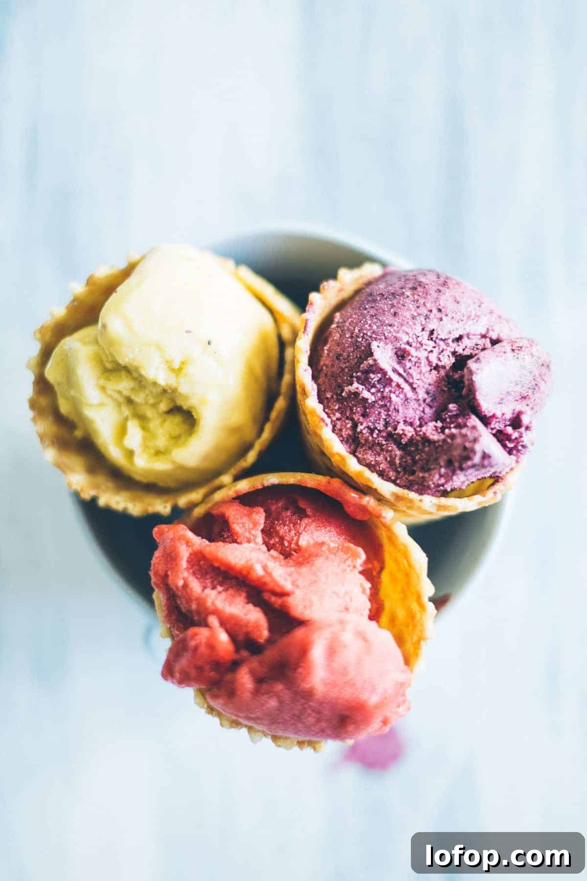 Homemade Ice Cream Recipe: Creamy No-Churn Method 4 0213_sorbet_020