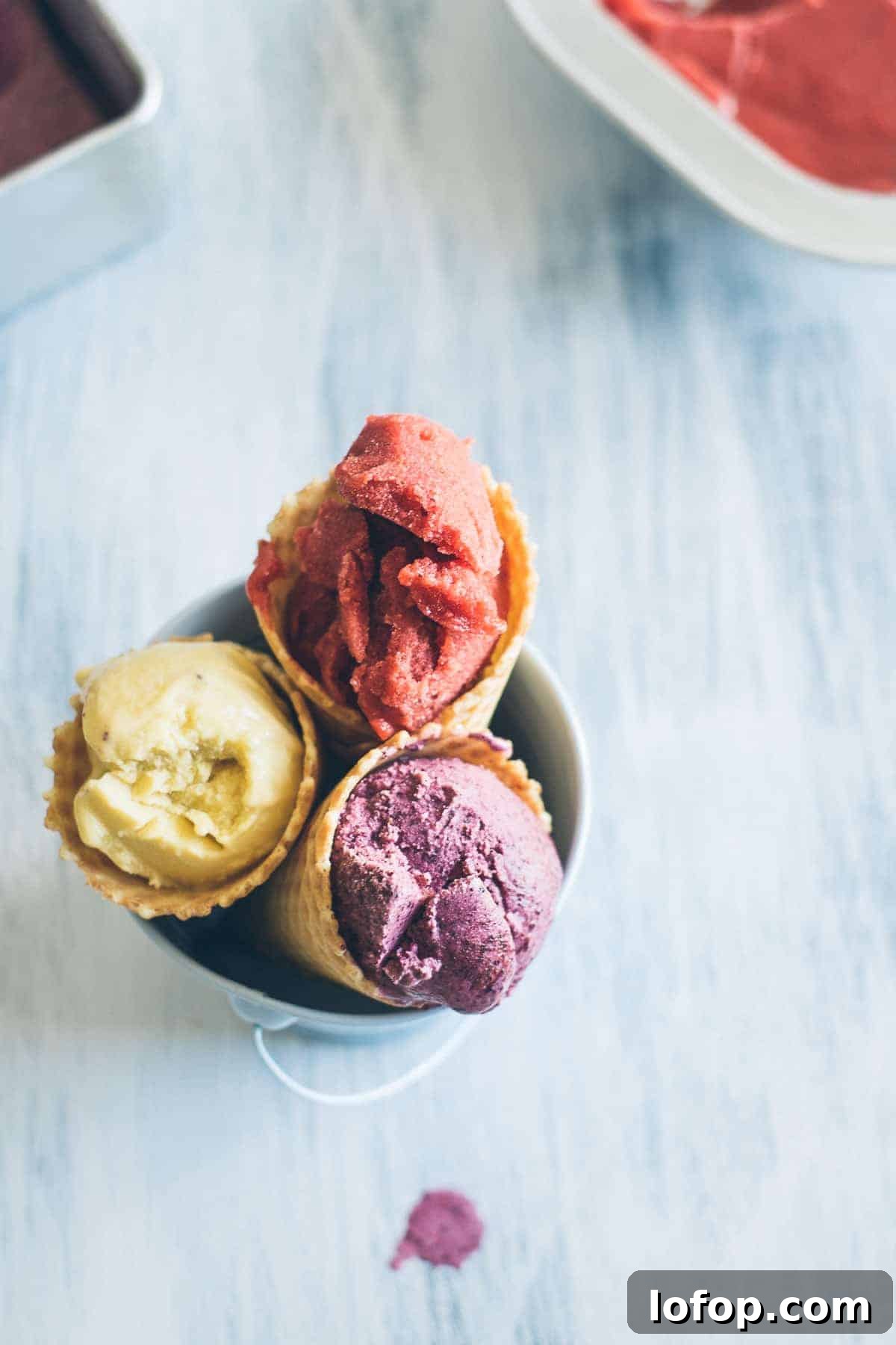 Homemade Ice Cream Recipe: Creamy No-Churn Method 9 a trio of home made ice creams