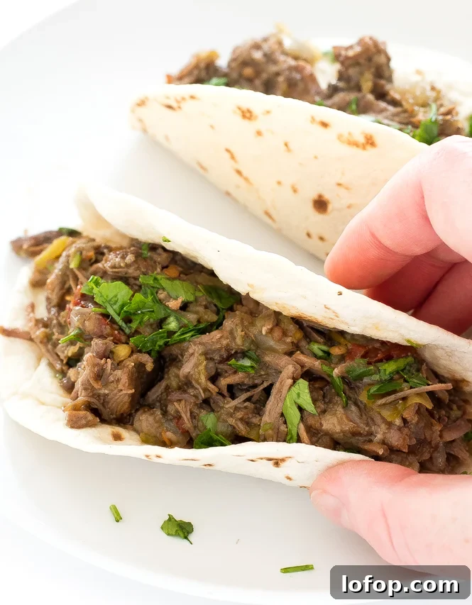 author holding a flour tortilla topped with Beef Barbacoa