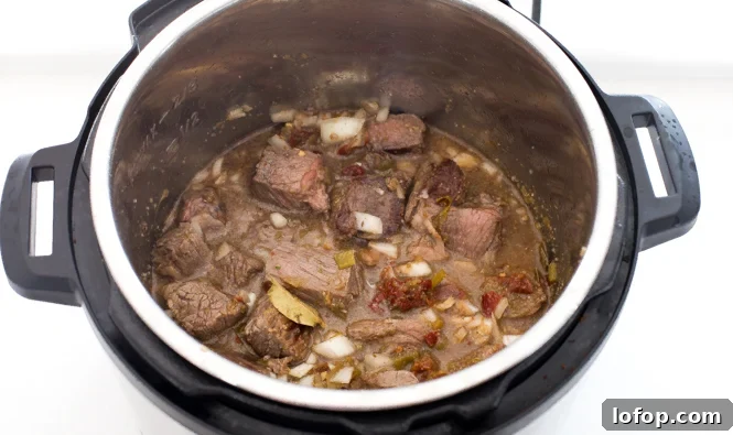 adding broth, spices and chipotles to Instant Pot