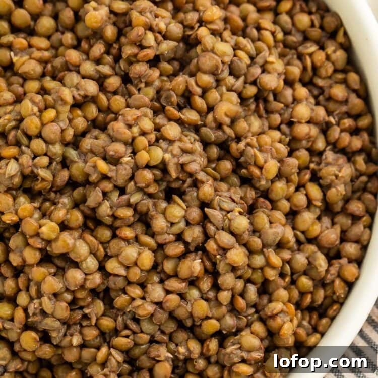 A large bowl of french green lentils on a table with a striped dish towel.