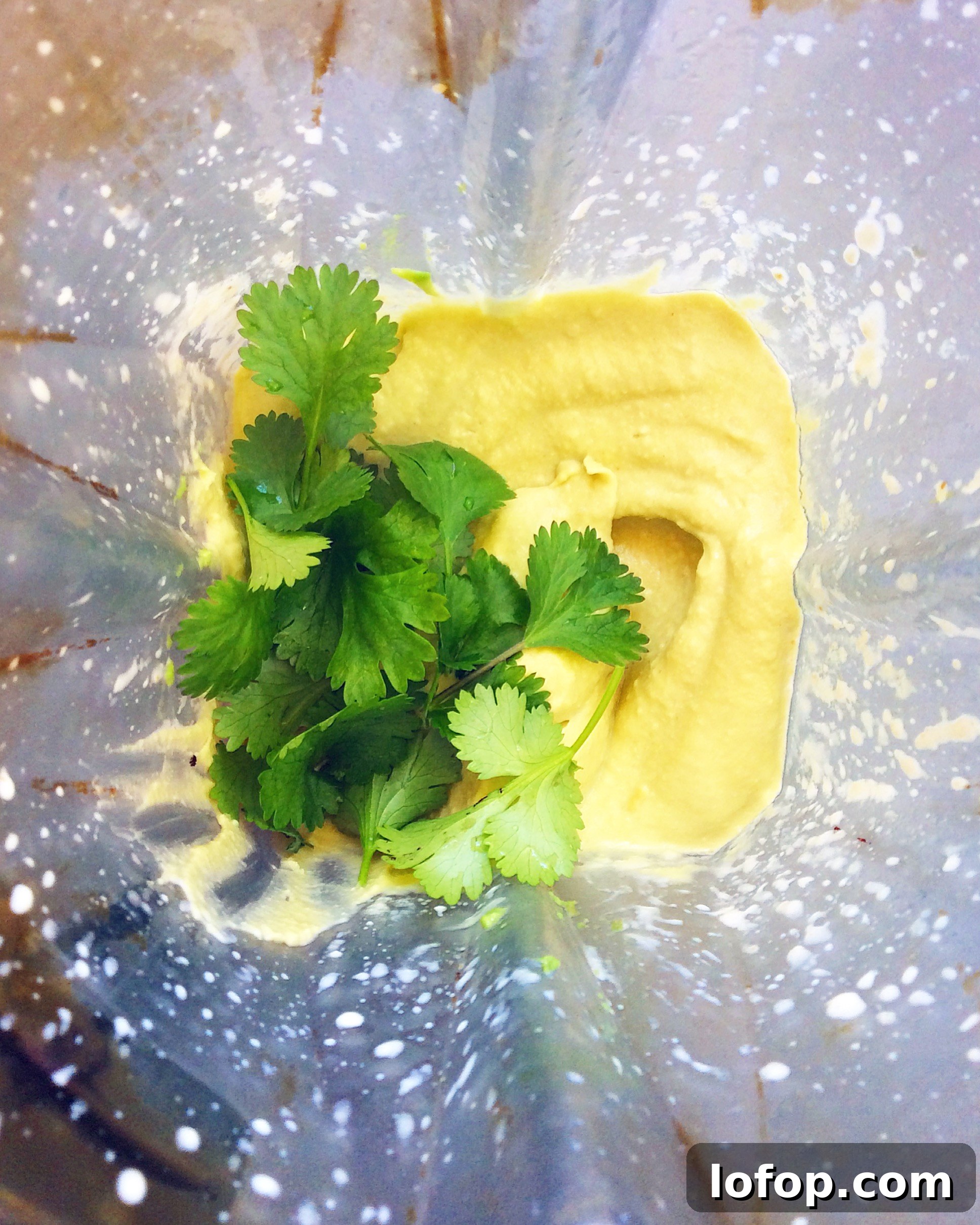 Avocado Hummus