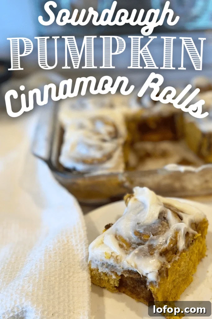 Soft Sourdough Pumpkin Cinnamon Rolls Recipe for Fall Baking 3 sourdough pumpkin cinnamon rolls with text
