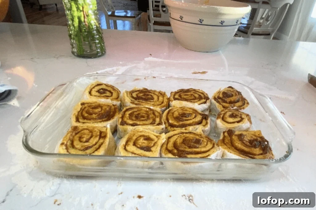 Soft Sourdough Pumpkin Cinnamon Rolls Recipe for Fall Baking 8 raw sourdough pumpkin cinnamon rolls in pan