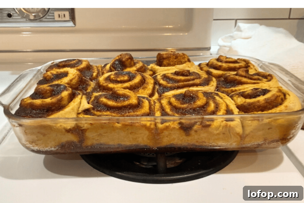 Soft Sourdough Pumpkin Cinnamon Rolls Recipe for Fall Baking 10 cooked but not frosted sourdough pumpkin cinnamon rolls