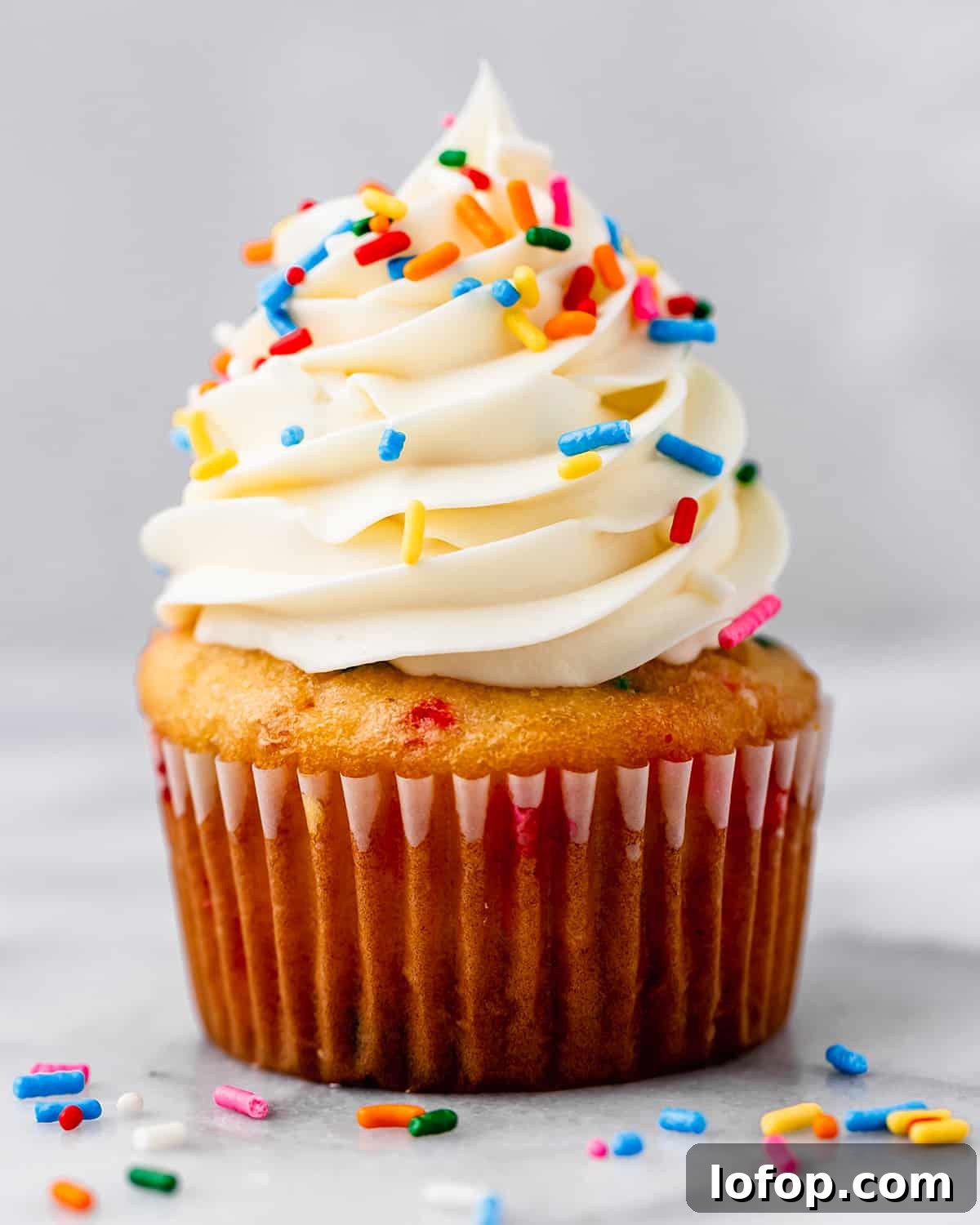one funfetti cupcake with vanilla frosting and sprinkles