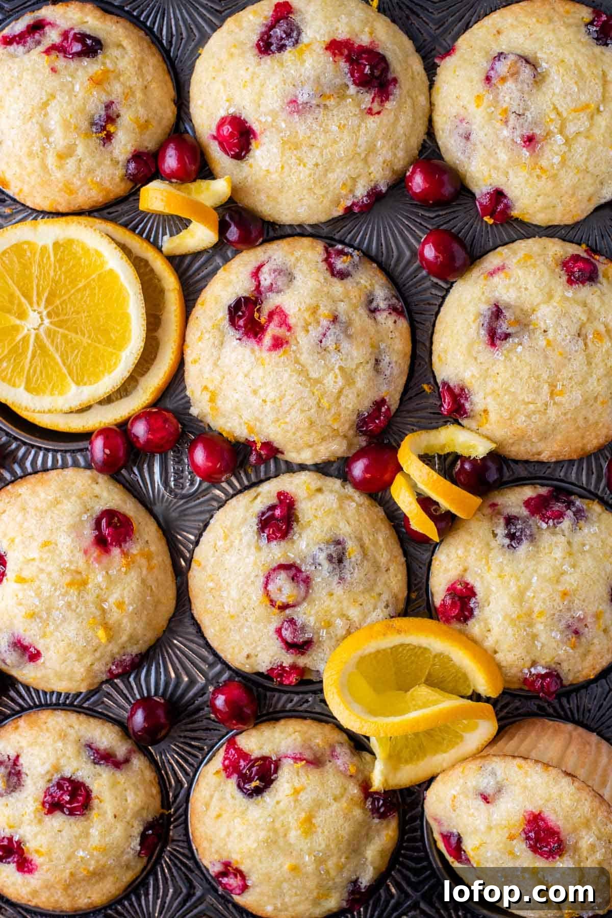 Overhead view of bakery style muffins with orange and cranberries