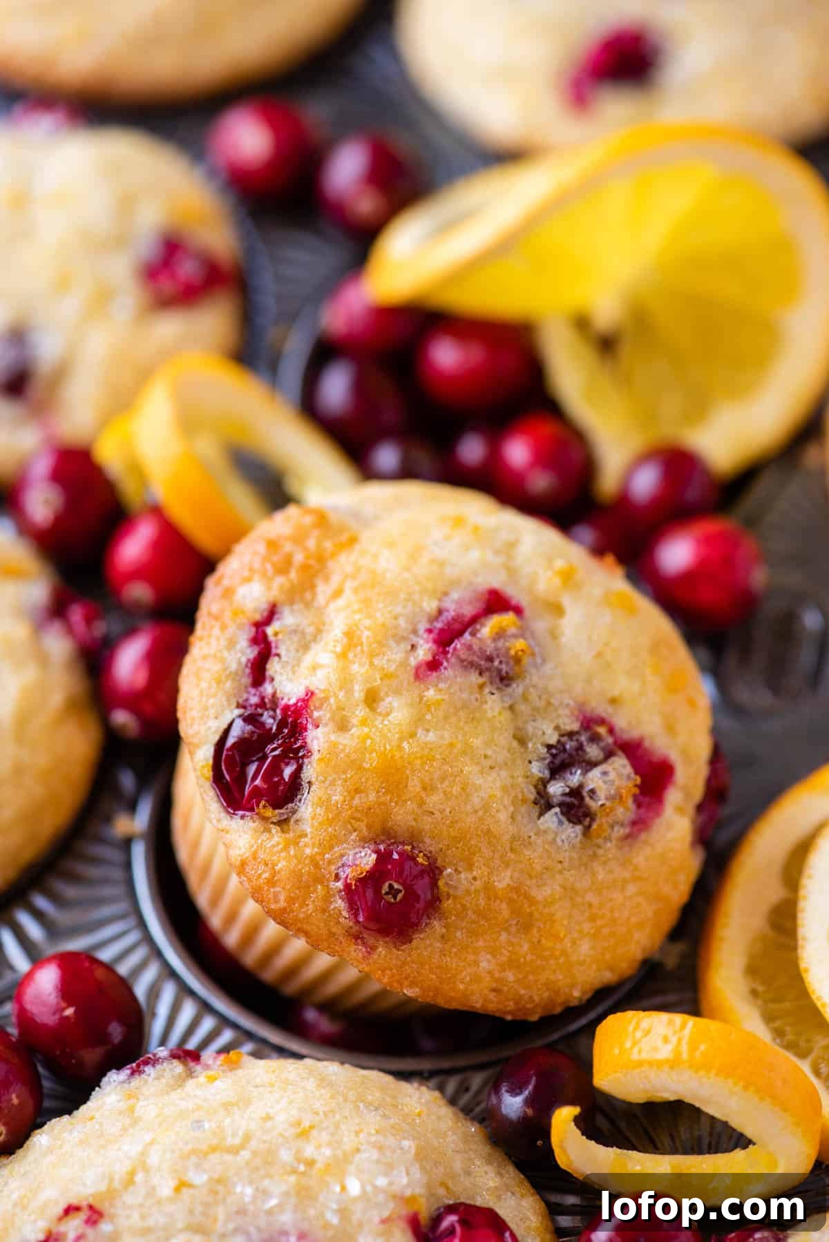 Close up of a orange cranberry muffin