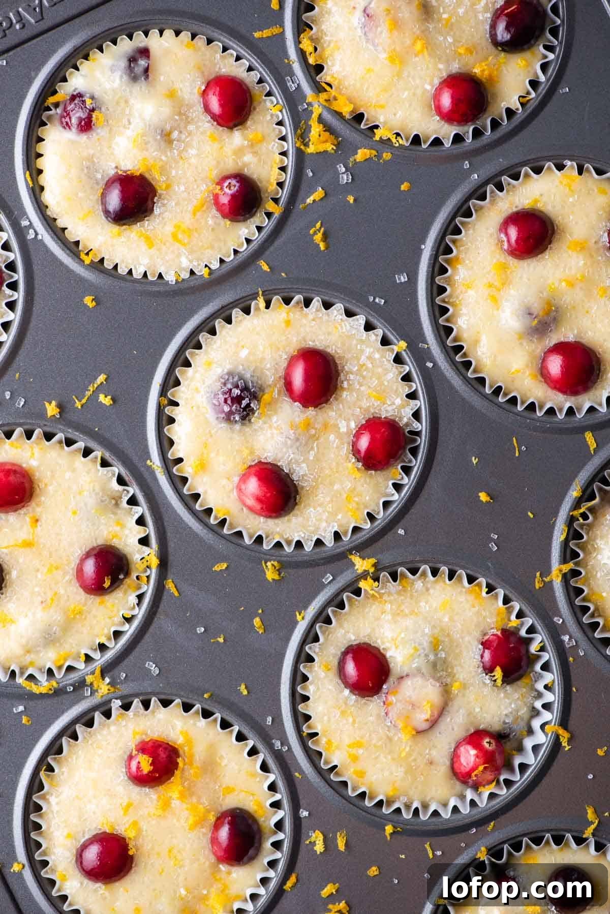 Cranberry muffin batter in liners ready to bake