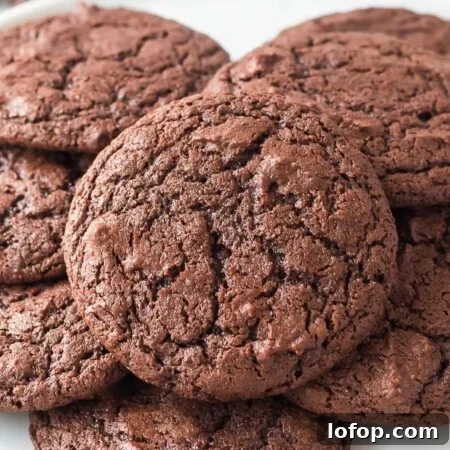 Cocoa Powder Cookie Recipe: Rich, Chewy Chocolate Cookies 11 cocoa powder cookies recipe