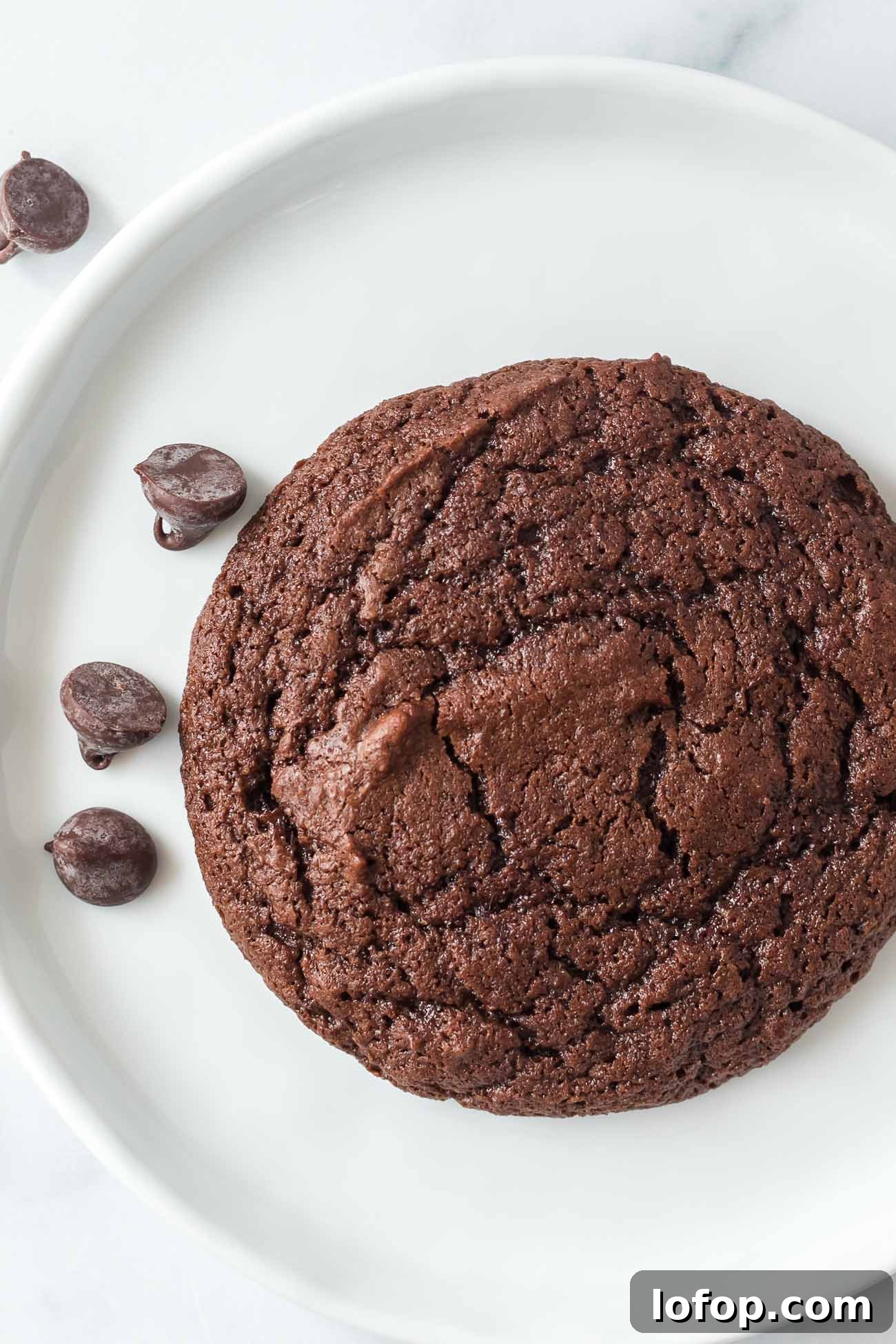 Cocoa Powder Cookie Recipe: Rich, Chewy Chocolate Cookies 3 img 45987 2