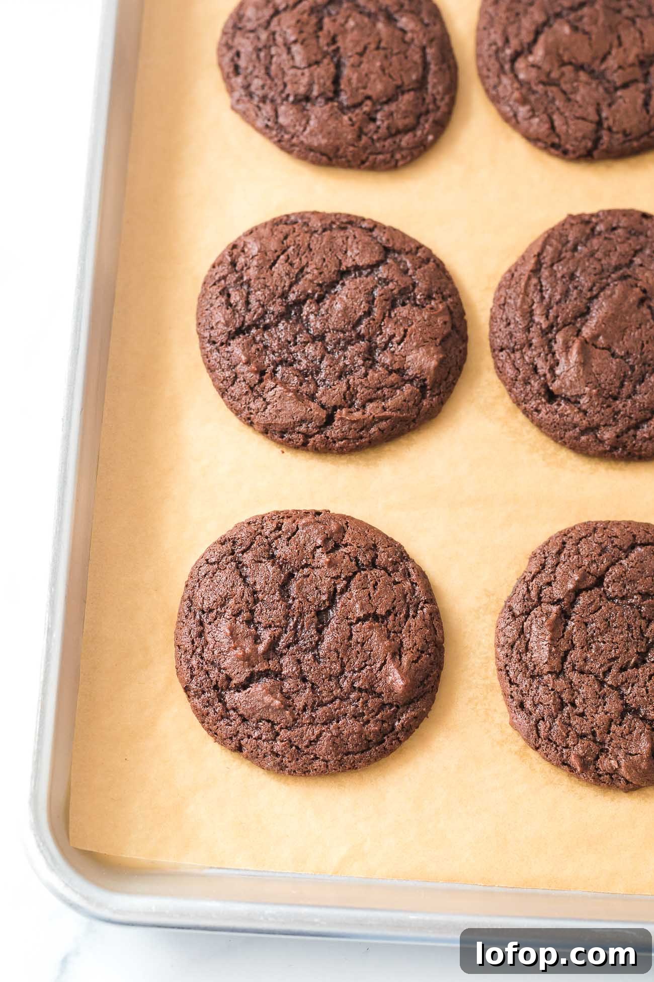Cocoa Powder Cookie Recipe: Rich, Chewy Chocolate Cookies 7 cocoa powder cookies recipe