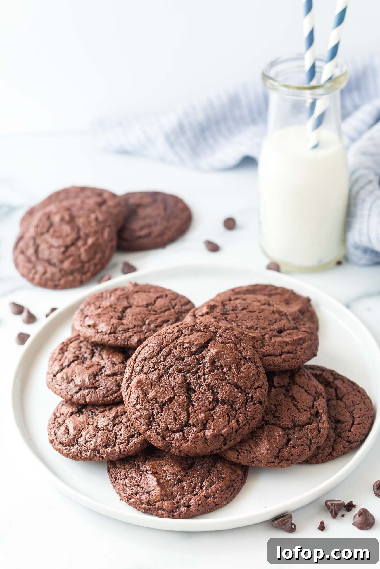Cocoa Powder Cookie Recipe: Rich, Chewy Chocolate Cookies 8 plate of brownie cocoa powder cookies