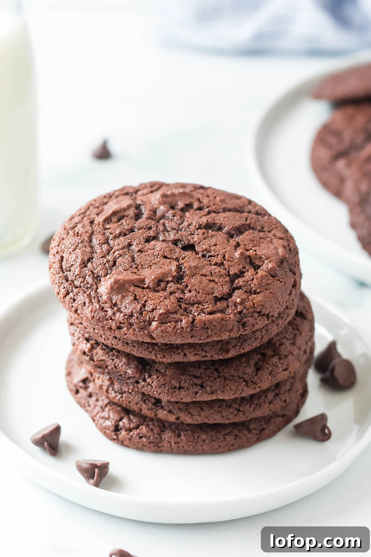 Cocoa Powder Cookie Recipe: Rich, Chewy Chocolate Cookies 9 img 45987 8