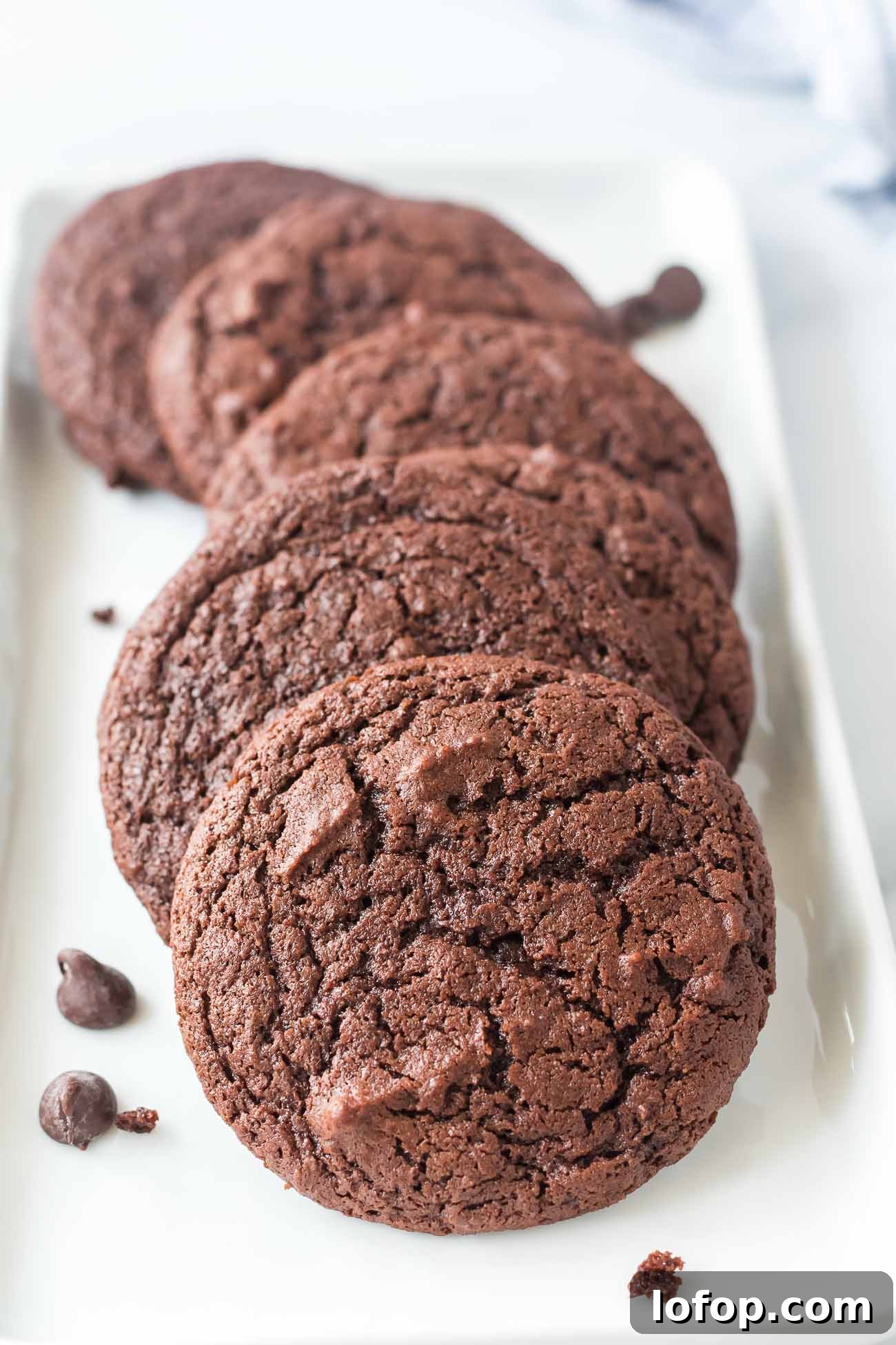 Cocoa Powder Cookie Recipe: Rich, Chewy Chocolate Cookies 10 img 45987 9