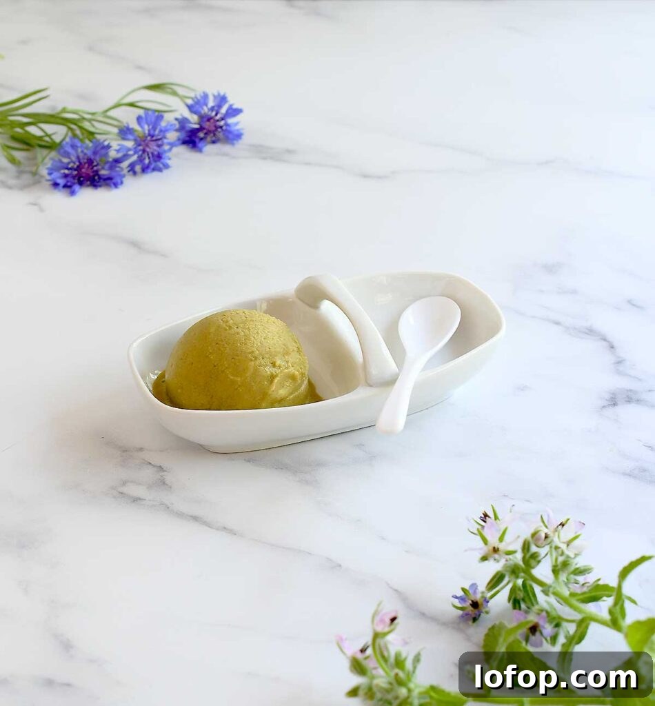 Vegan Blueberry Matcha Ice Cream Recipe (Ninja Creami, Dates & Oats) 3 Vicki's Plain Matcha Ice Cream from the Ninja Creami Experience Ebook, it's green because there are no blueberries in it.