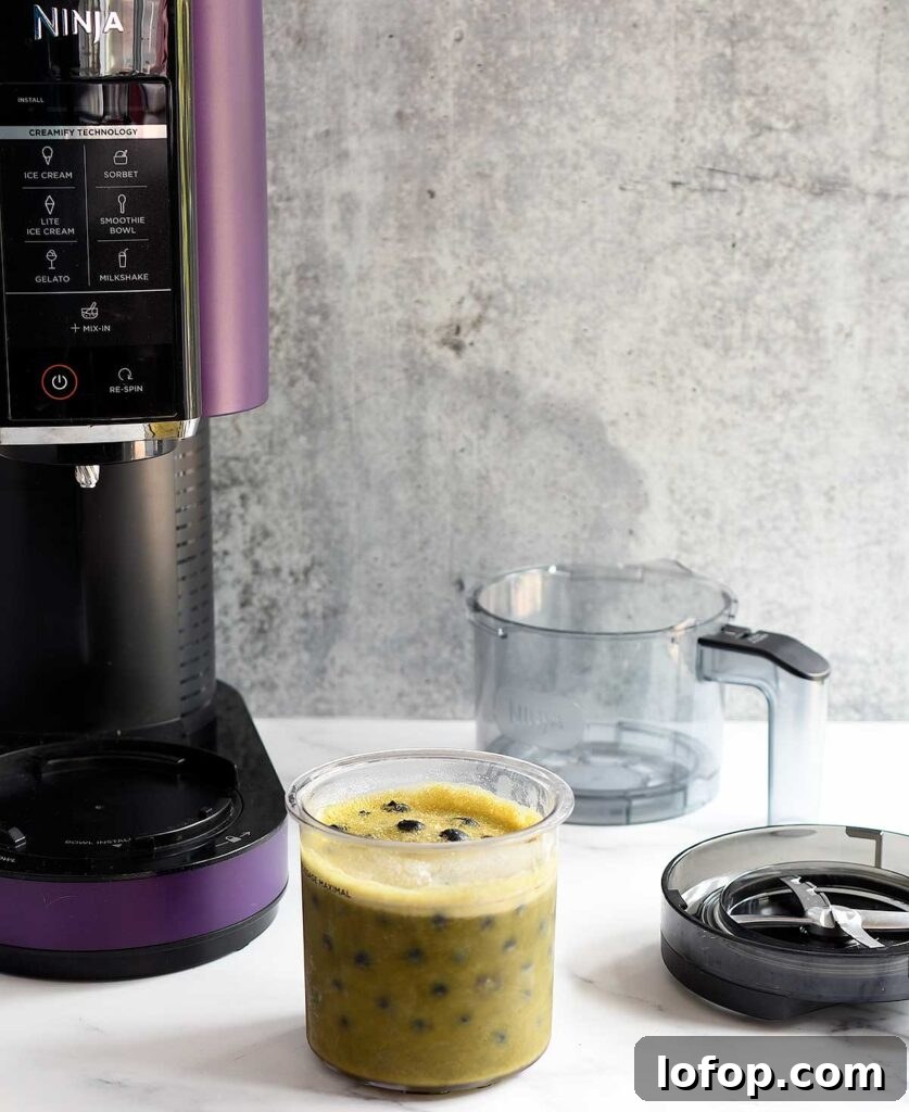 Vegan Blueberry Matcha Ice Cream Recipe (Ninja Creami, Dates & Oats) 4 The unspun version with blueberries in the green mix in front of my purple Ninja Creami.