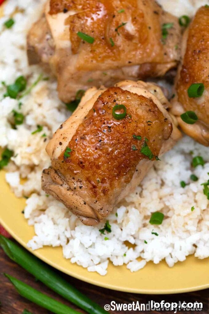Classic Filipino Chicken Adobo Recipe — Authentic & Savory Guide 2 chicken adobo with rice