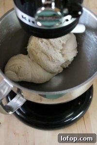 bread dough in a mixer