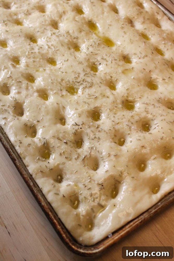 easy focaccia 