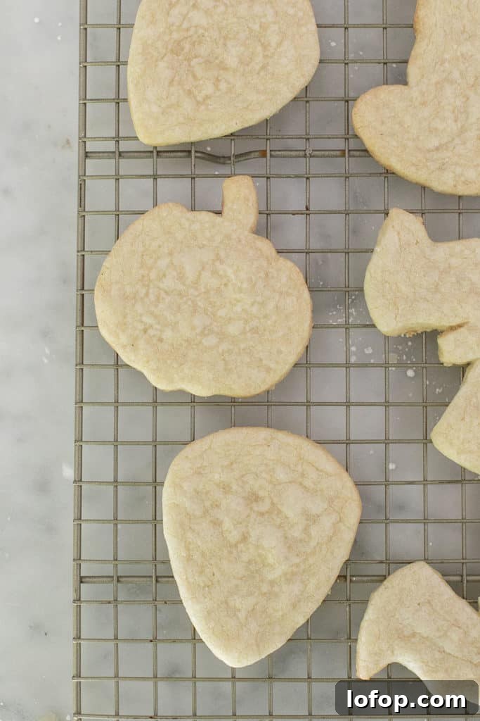 Spooky Halloween Sugar Cookie Recipe for Festive Treats 6 Halloween sugar cookie cutouts.