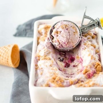 Blueberry Cheesecake ice cream in a loaf pan with ice cream in a scoop resting on top.