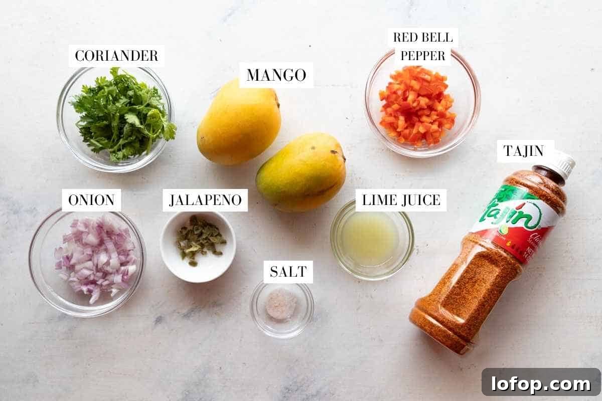 Fresh Mango Salsa Recipe: Tangy, Sweet, and Perfect for Chips 3 Ingredients for mango salsa with text overlay